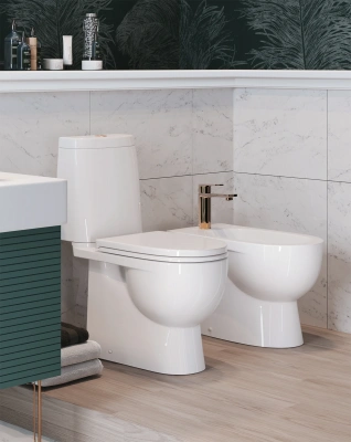 Унитаз-компакт Sanita Luxe FEST COMFORT гориз. выпуск, 2х режимный дюропласт WC.CC/FEST/2-DM/WHT.G/S